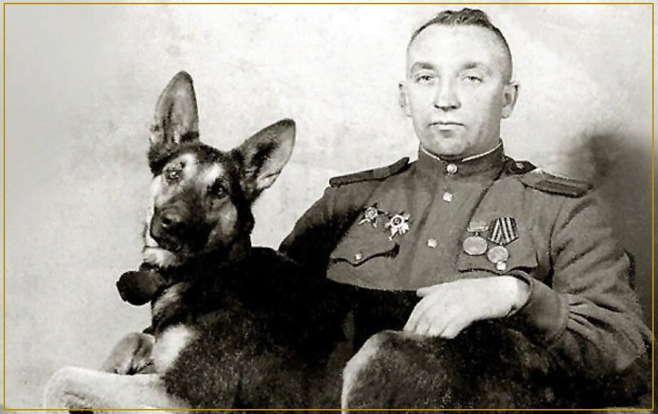 джульбарс