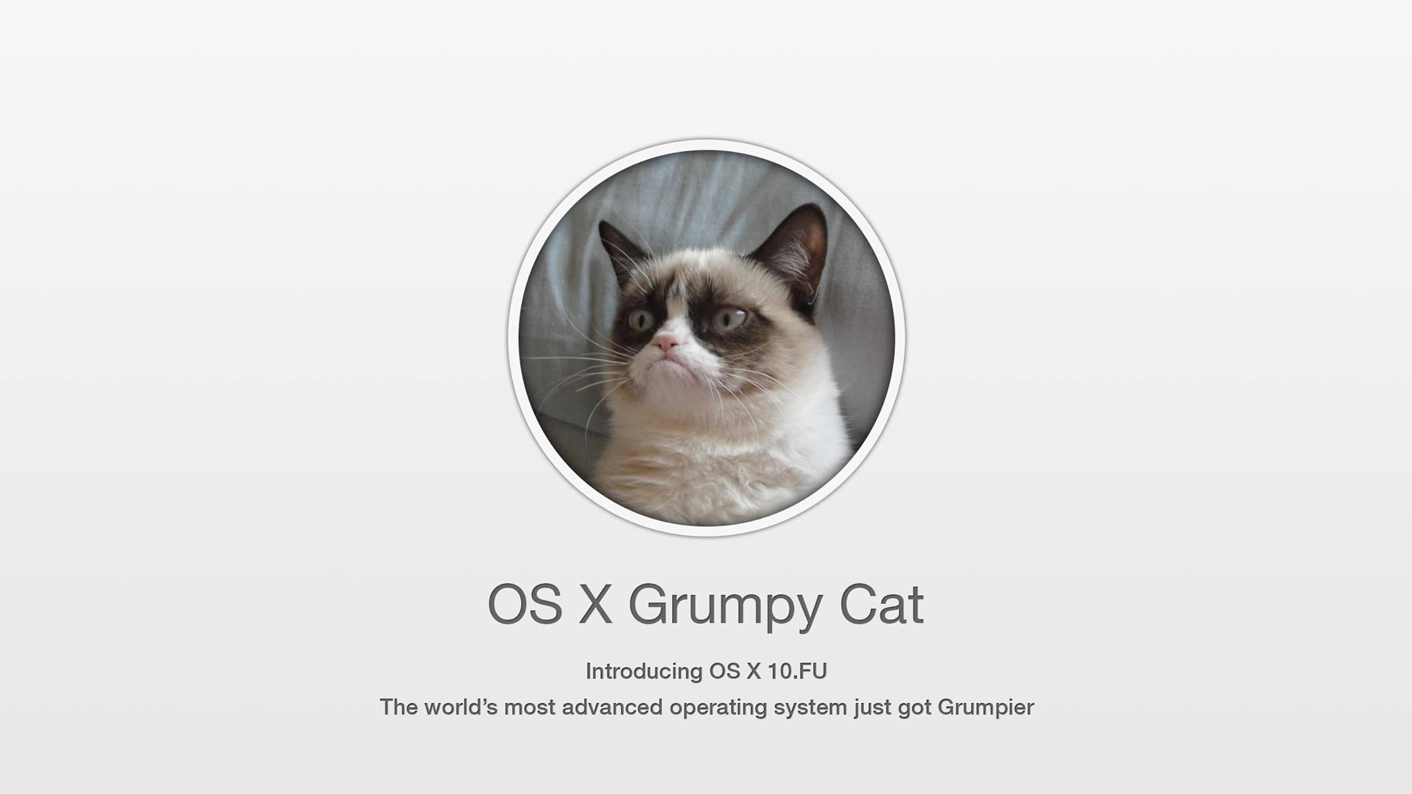 grumpy cat mac os x