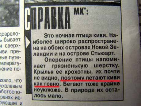 птица киви