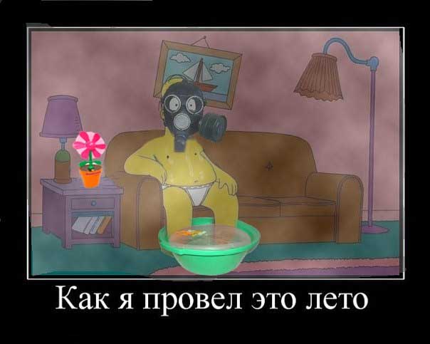 как я провел лето
