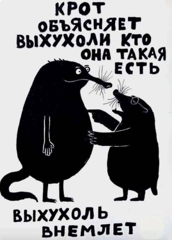 крот и выхухоль