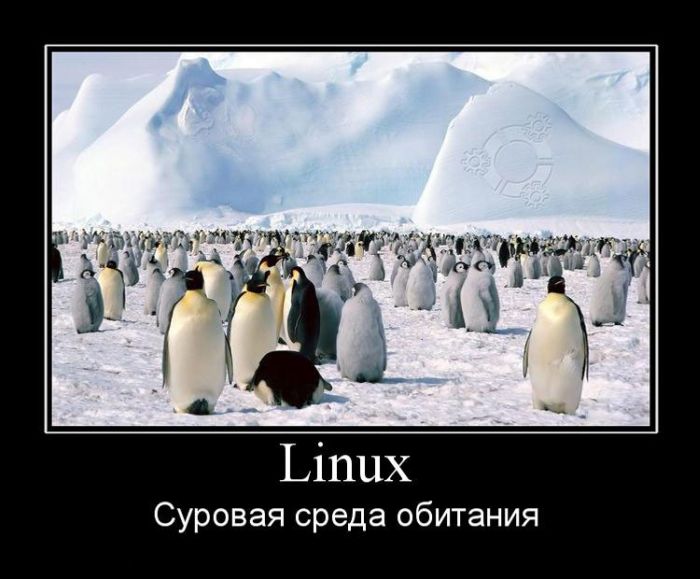 LINUX
